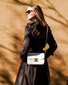 celine-triomphe-bag